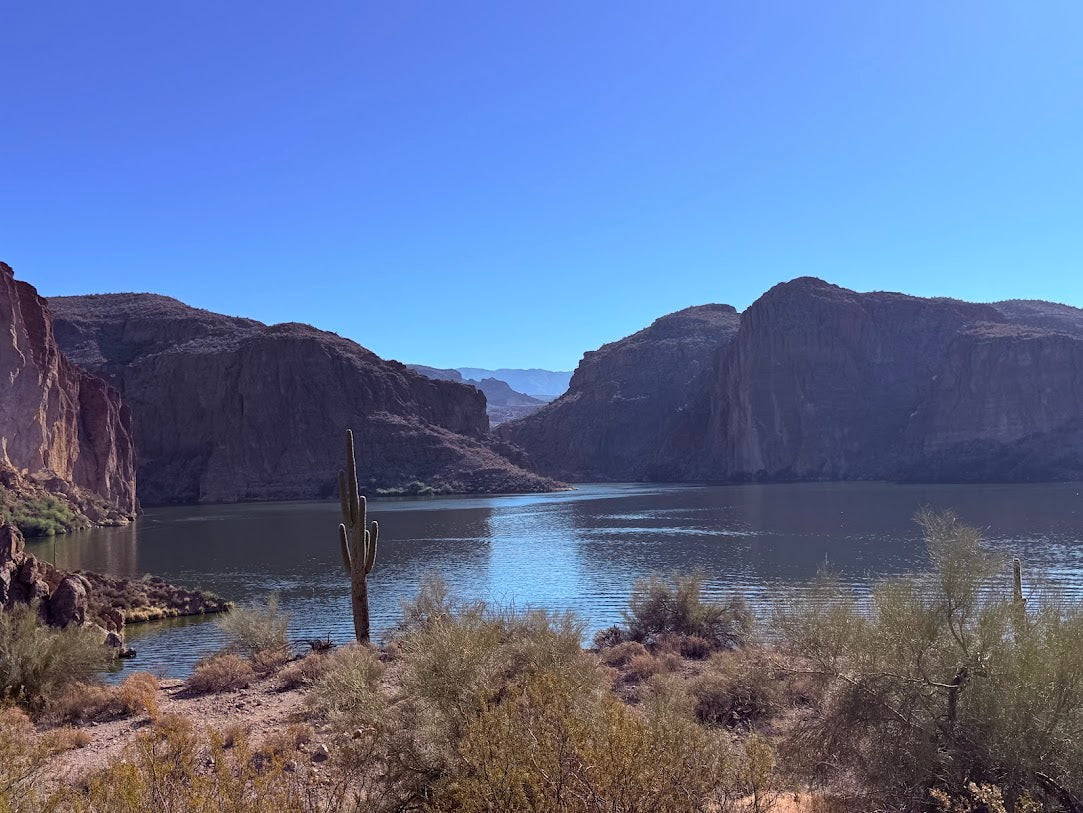 Travelling With 5 Dogs: Our Apache Junction & Superstition Mountains Weekend