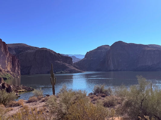 Travelling With 5 Dogs: Our Apache Junction & Superstition Mountains Weekend