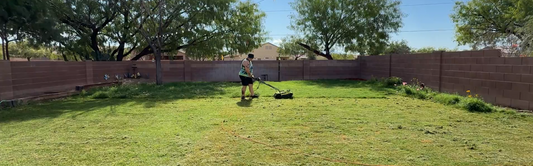We Tried Growing a Lawn in the Arizona Desert