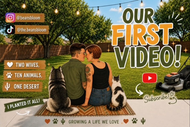 Load video: 